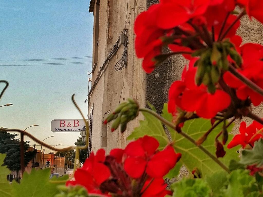 Bed and Breakfast Donnaciccinatrapani Rilievo Екстер'єр фото